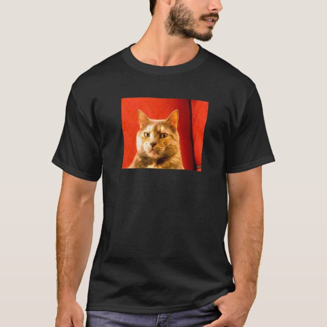 Misstänkt katt-meme t shirt (Framsida)