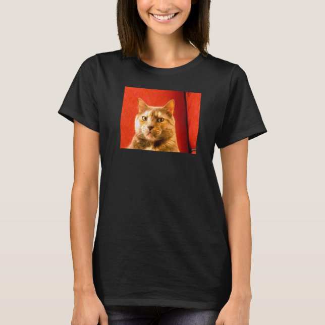 Misstänkt kattnota t shirt (Framsida)
