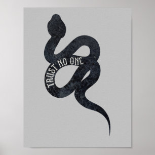 Misstro alla orm Snake Poster
