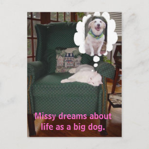 Missy drömmer om livet som en stor hund. vykort