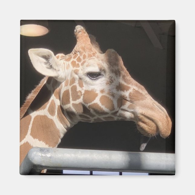 Missy Magnet #1 (Framsidan)