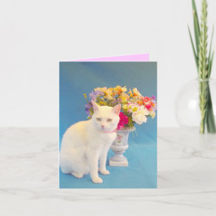 Missy Notecard Kort