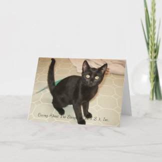 Missy Notecards Kort