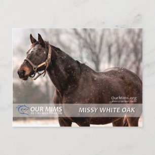 Missy White Oak-vykort Vykort