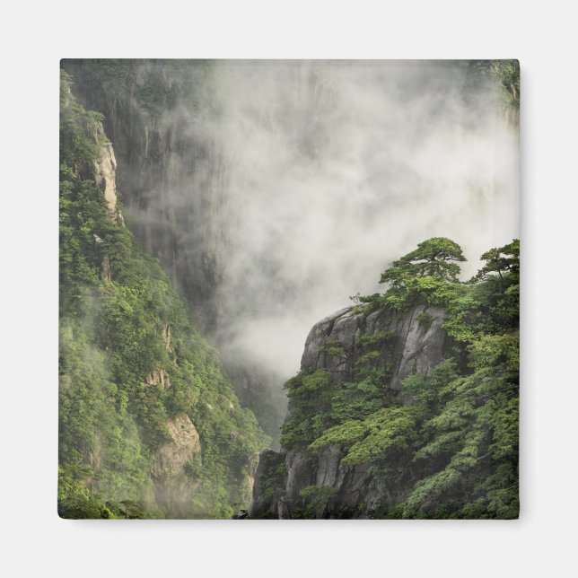 Mist bland Grand Canyons toppar och dalar Magnet (Framsidan)