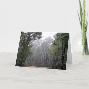 Mist & Eucalypts Kort