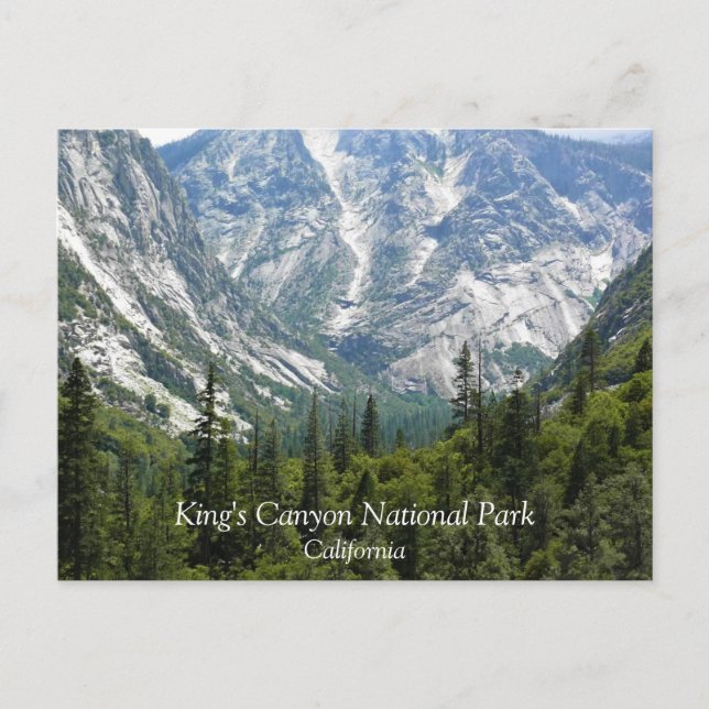 Mist Falls Trail, Kung Canyon National Park, CA Vykort (Framsida)
