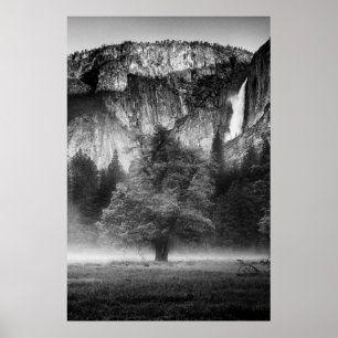 Mist i ängen poster