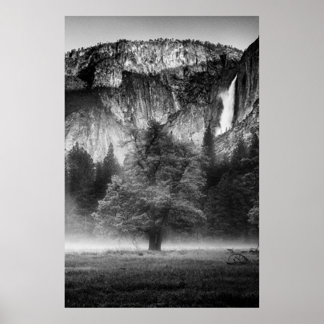 Mist i Meadow Poster (Framsidan)