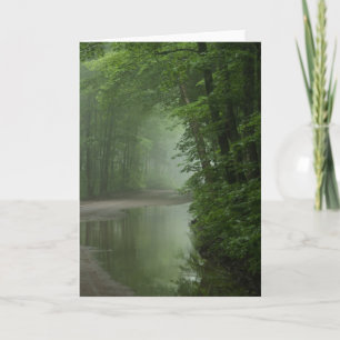 Mist i skogen kort