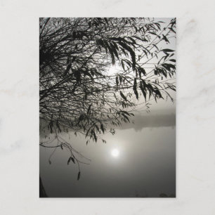 Mist- och skuggkort vykort