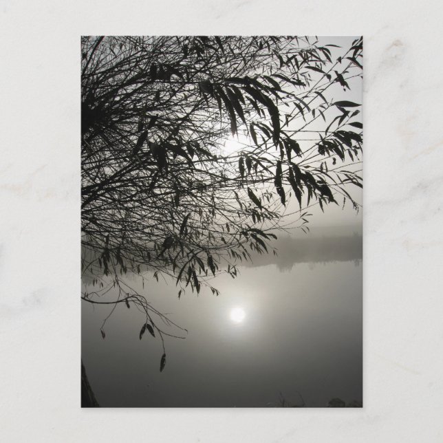 Mist- och skuggkort vykort (Framsida)
