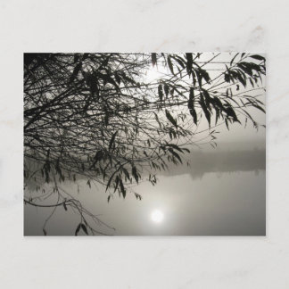 Mist- och skuggvykort vykort