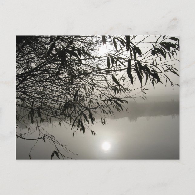 Mist- och skuggvykort vykort (Framsida)