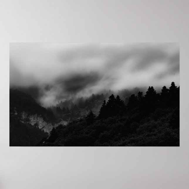 Mist över skogen poster (Framsidan)