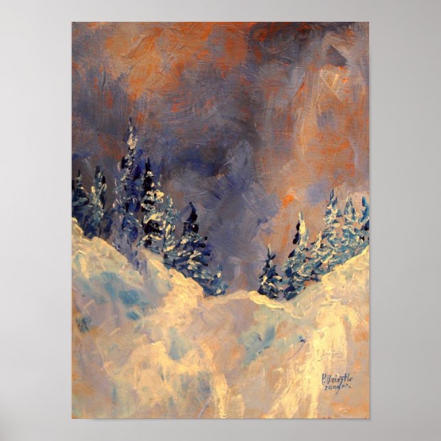 Mist på Snö-toppen 2009 Poster (Framsidan)