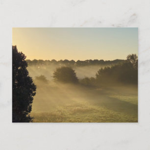 Mist Vykort