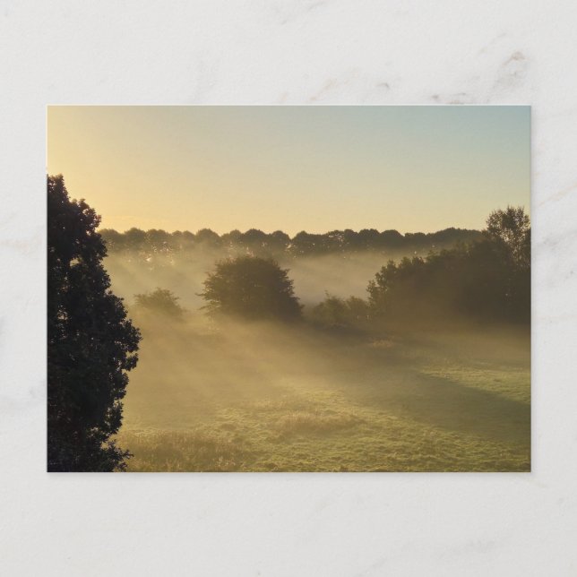 Mist Vykort (Framsida)