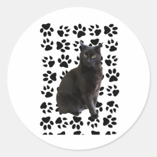 Mister 4 Sticker Runt Klistermärke