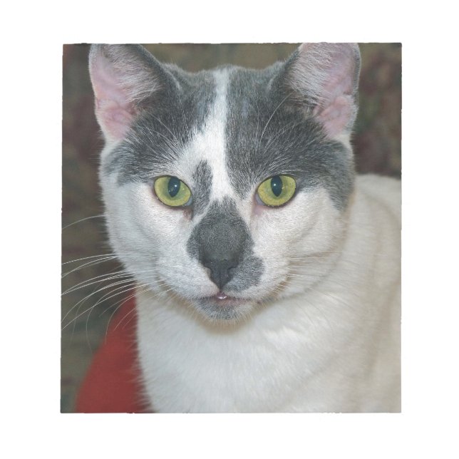 Mister Byxor Anteckningsblock (Framsida)