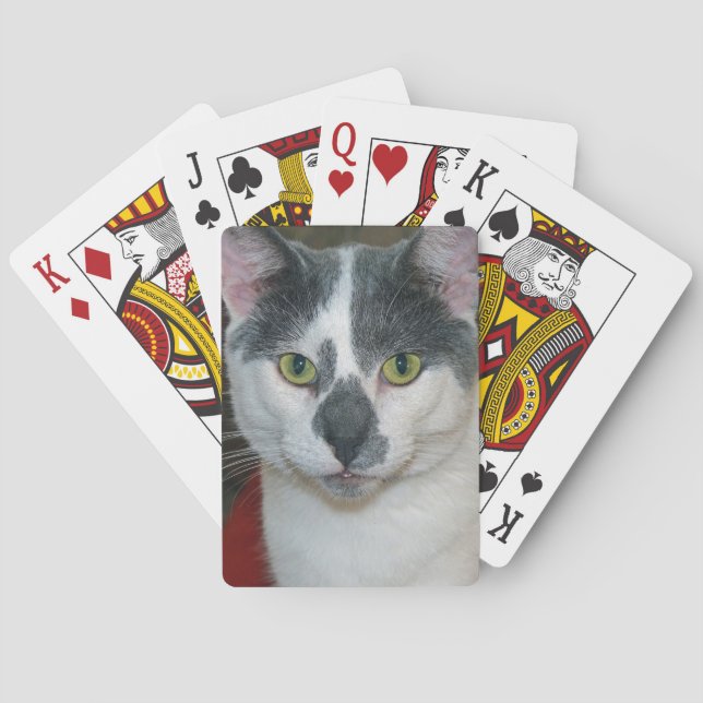 Mister Byxor Spelkort (Baksidan)