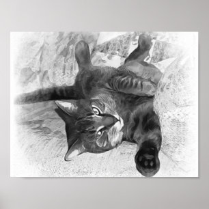 Mister Cat Poster