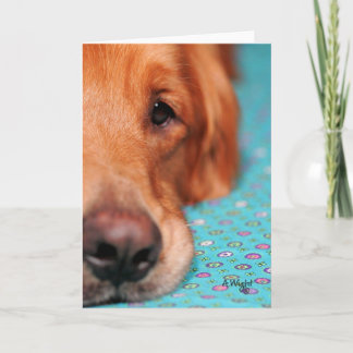 Mister Farley, den guld- retrieveren Kort
