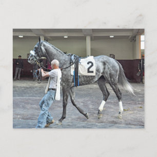 Mister Monolo Vykort