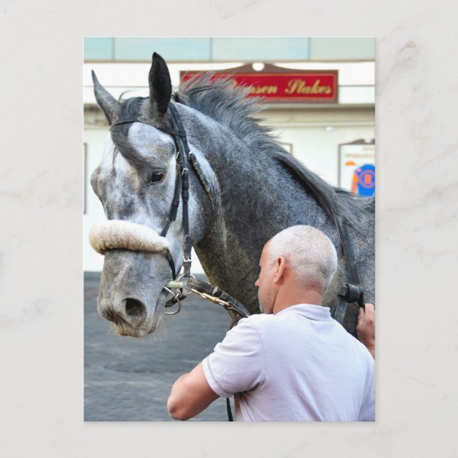 Mister Monolo Vykort (Framsida)