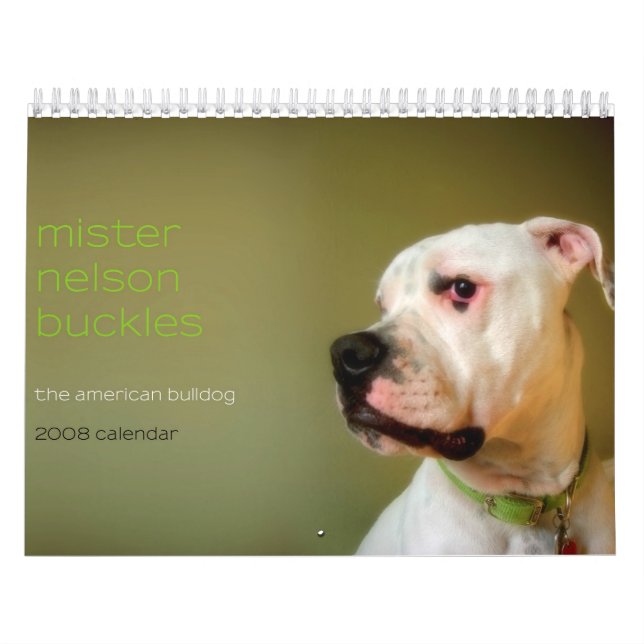 Mister Nelson spänner fast: Amerikanbulldoggen Kalender (Omslag)