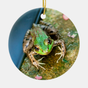Mistletoad - för grodajul för runda keramisk julgransprydnad keramik