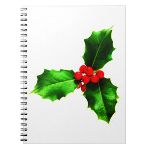 Mistletoe Anteckningsbok Med Spiral