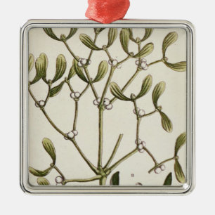 Mistletoe från "ett nyfiket växt-", 1782 julgransprydnad metall