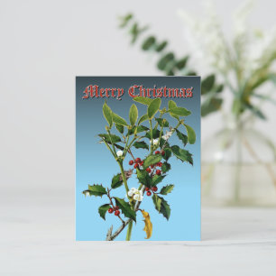 Mistletoe & Holly Greenery Botanical Art Helg Vykort