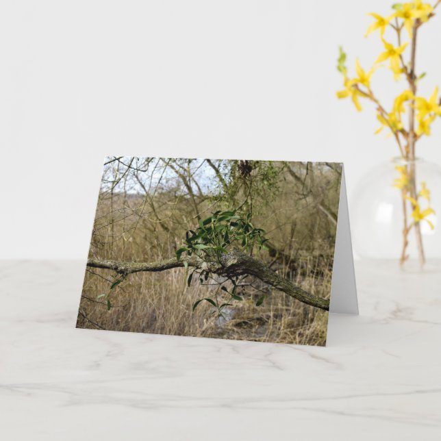 Mistletoe Kort (Gul blomma)