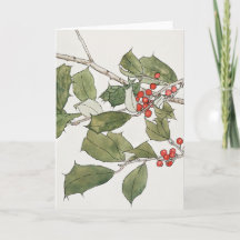 Mistletoe