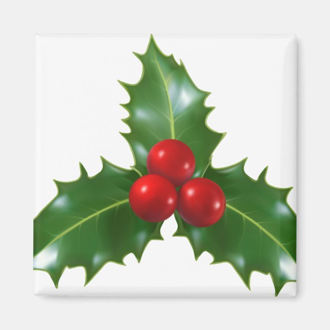 Mistletoe Magnet (Framsidan)