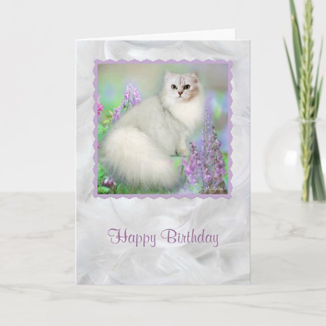 Mistletoe Silver Persian Cat Birthday Card Kort (Framsida)