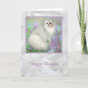 Mistletoe Silver Persian Cat Birthday Card Kort