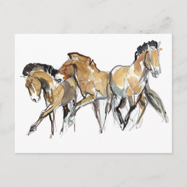 Mistral Tre Vykort (Framsida)