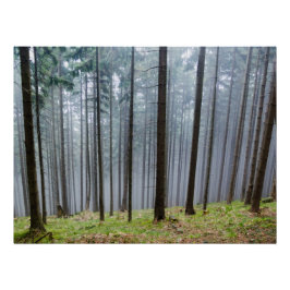 Misty Autumn Forest Relaxation Perfect Poster