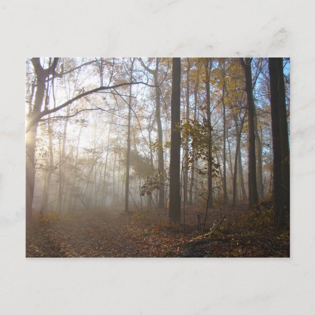 Misty Autumn Morgon i skogen #2 Vykort (Framsida)