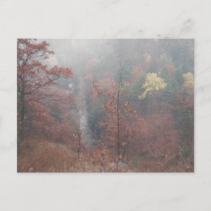 Misty Autumn Skogen Vykort