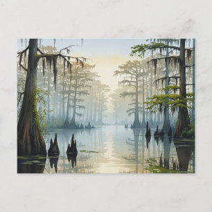 Misty Congaree nationalpark South Carolina Vykort