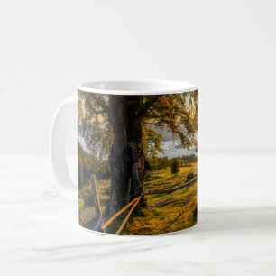 Misty Dawn i en skog Kaffemugg