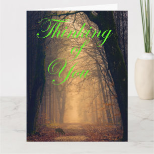 Misty Dawn Kort
