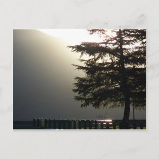 Misty Fir Träd vid Shasta Dam Postcard Vykort