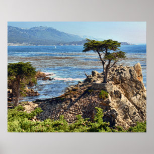 Misty Fog Scenia California Central Kusten Poster