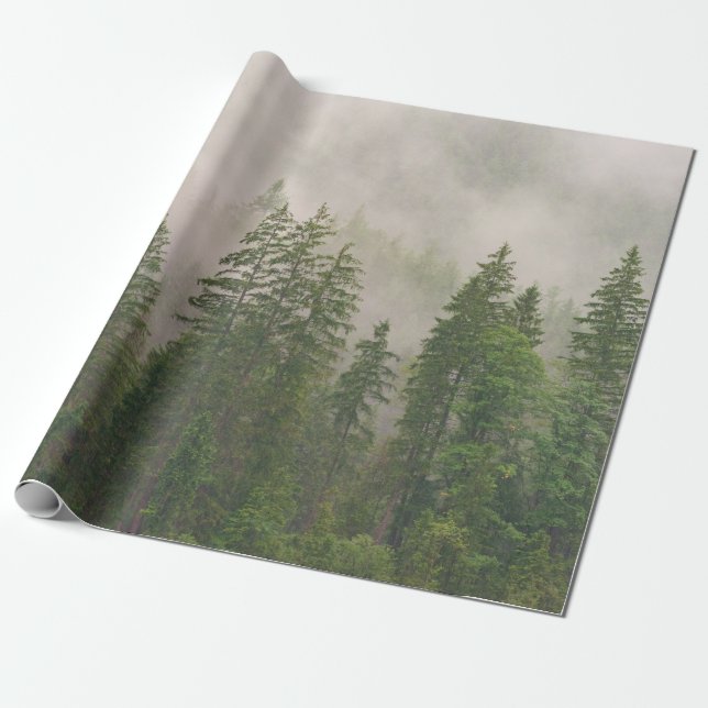 Misty Foggy Forest Träd Presentpapper (Utrullad)