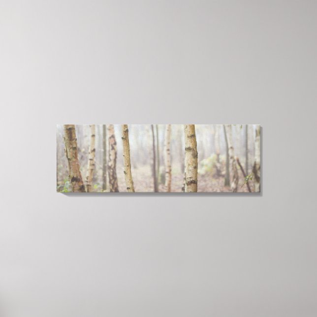 MISTY FOREST CANVASTRYCK (Framsida)